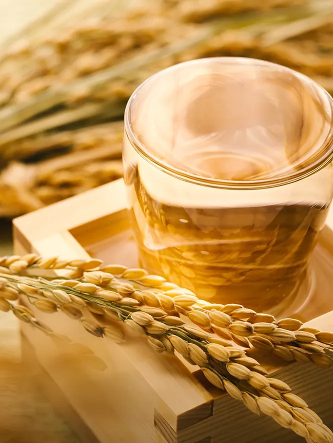 稲穂と枡、その中に置かれた透明なガラスのコップ。背景には収穫前の稲穂が並んでいる。