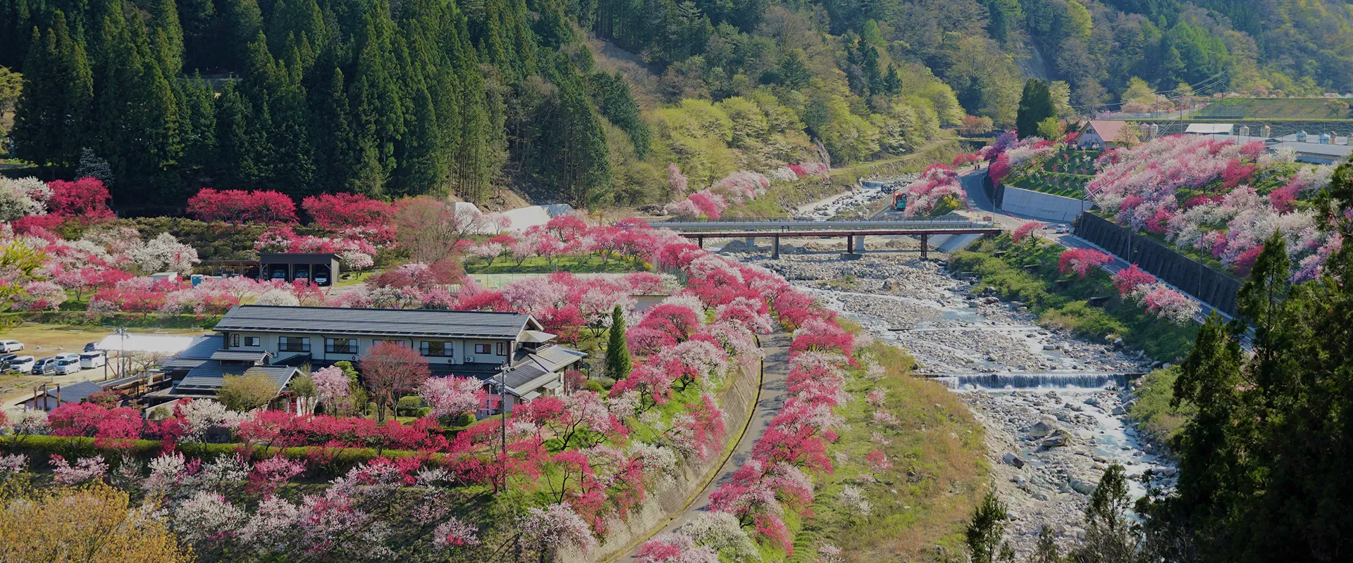 イメージ：春の訪れを告げる花々に囲まれた宿の全景。