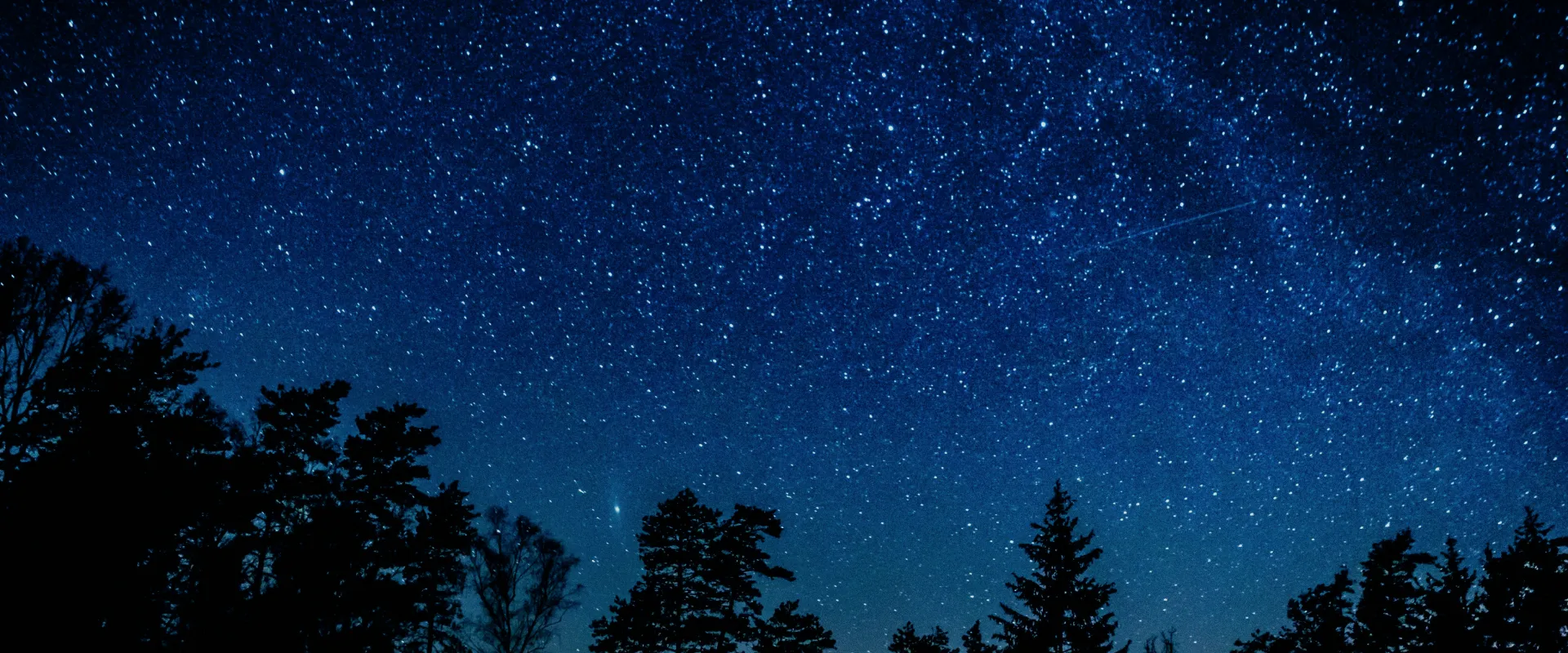 深い藍色の夜空に、無数の星々が宝石を散りばめたように輝く阿智村の星空。下部には木々のシルエットが並び、静寂の中に広がる神秘的な宇宙の広がりを感じさせます。