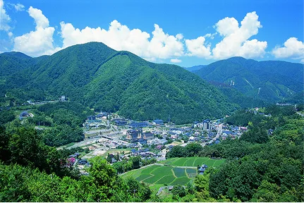 緑深い山々に囲まれた町並みを高台から見下ろす夏の風景