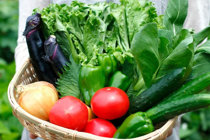 カゴに盛られた新鮮な採れたて野菜