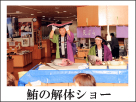 鮪の解体